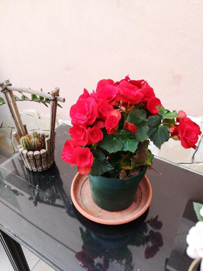 B&B Casa Valeria Катанія Екстер'єр фото